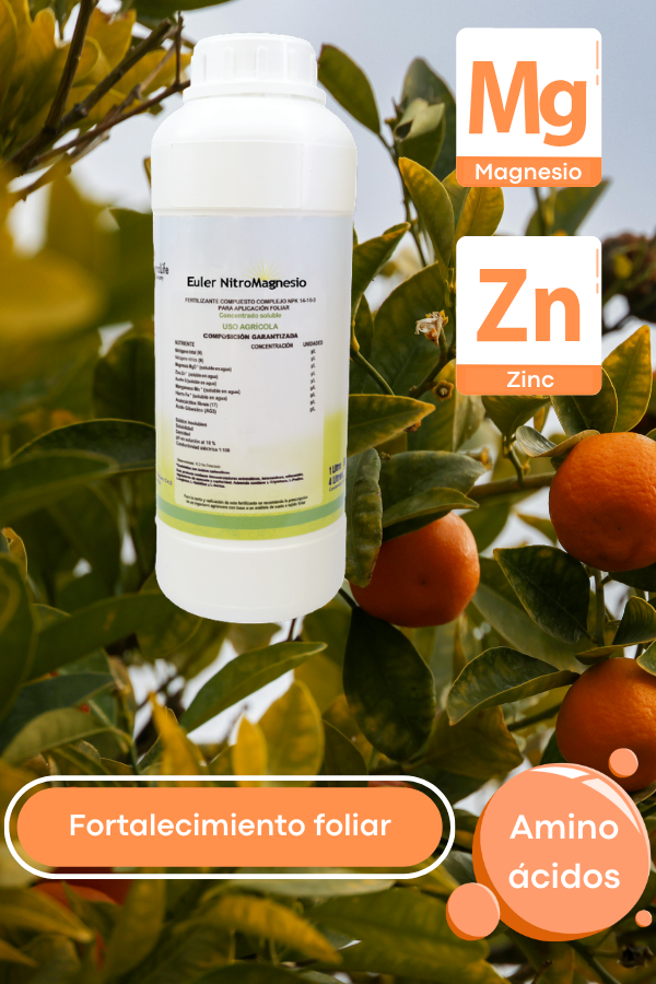 Euler Nitromagnesio - Fertilizante con Nitrógeno y Magnesio